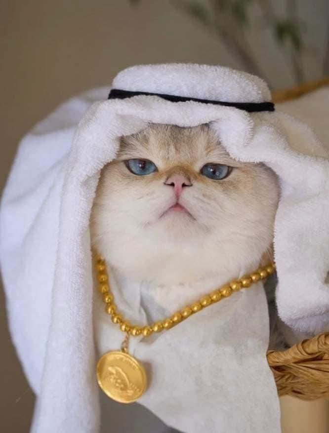 SLOT JEPANG GACOR Hari Ini! Daftar di Bandar Slot Terpercaya image 1